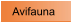 Avifauna